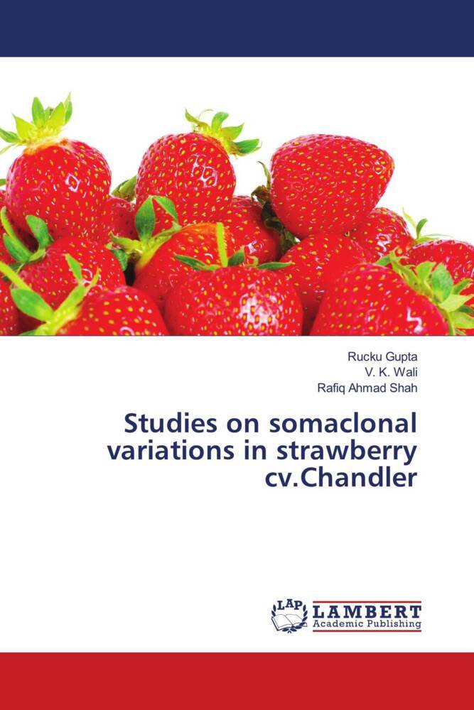 Studies on somaclonal variations in strawberry cv.Chandler
