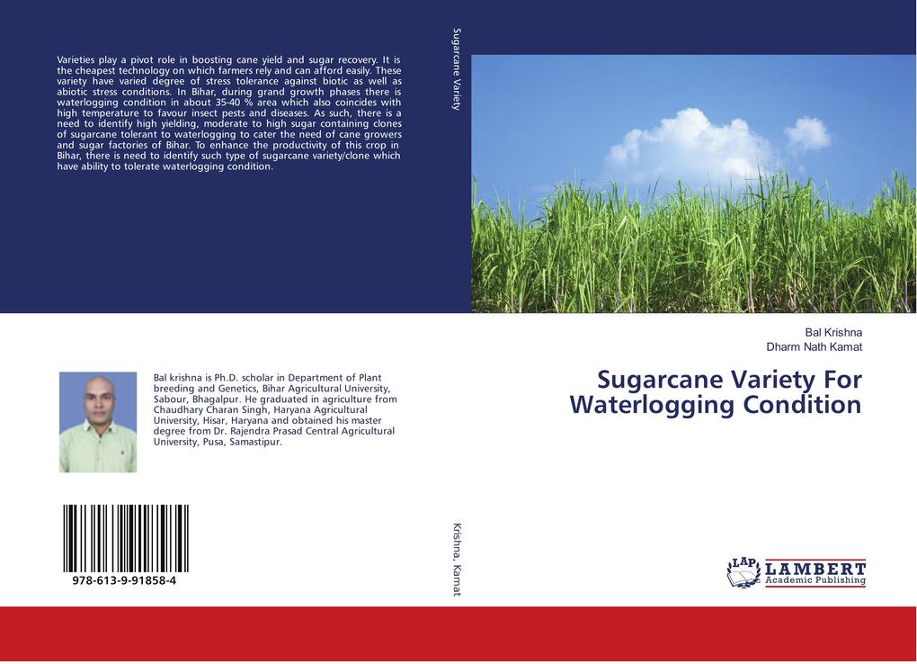Sugarcane Variety For Waterlogging Condition