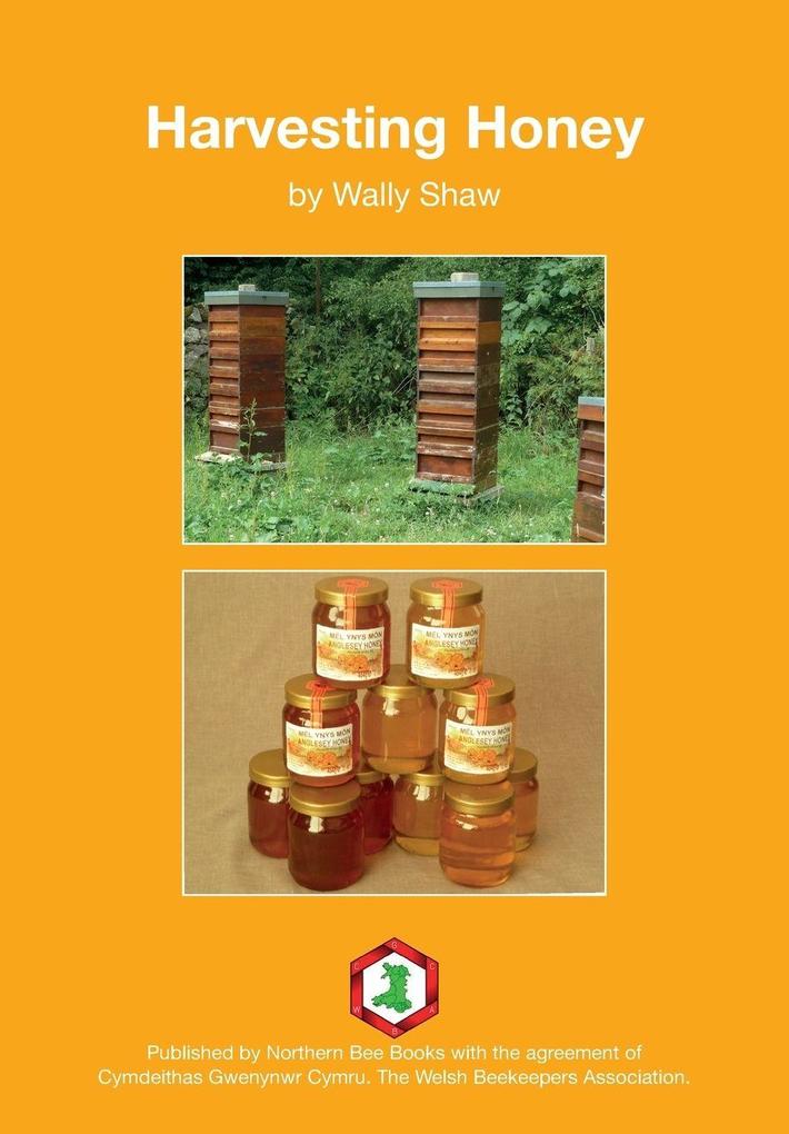 Harvesting Honey