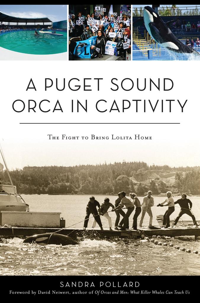 Puget Sound Orca in Captivity