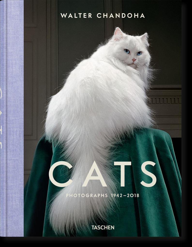 Walter Chandoha. Cats. Photographs 1942–2018