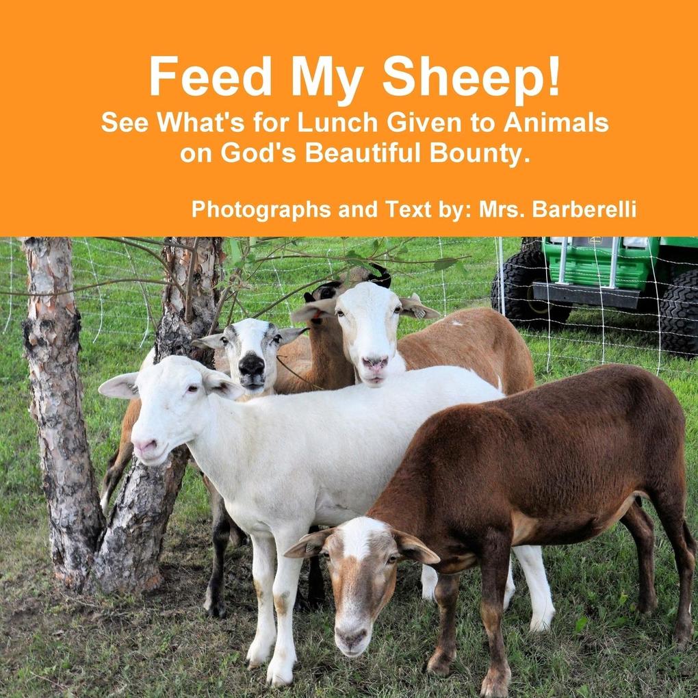 Feed My Sheep! See What‘s for Lunch Given to Animals on God‘s Beautiful Bounty