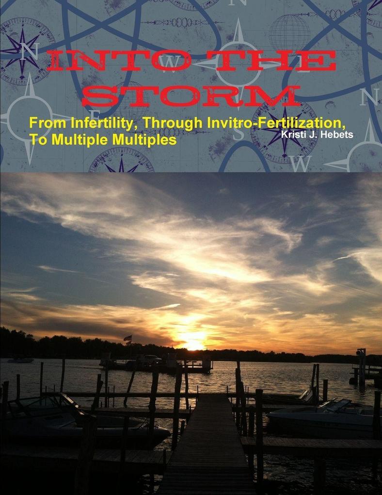 INTO THE STORM From Infertility Through Invitro-fertilization To Multiple Multiples