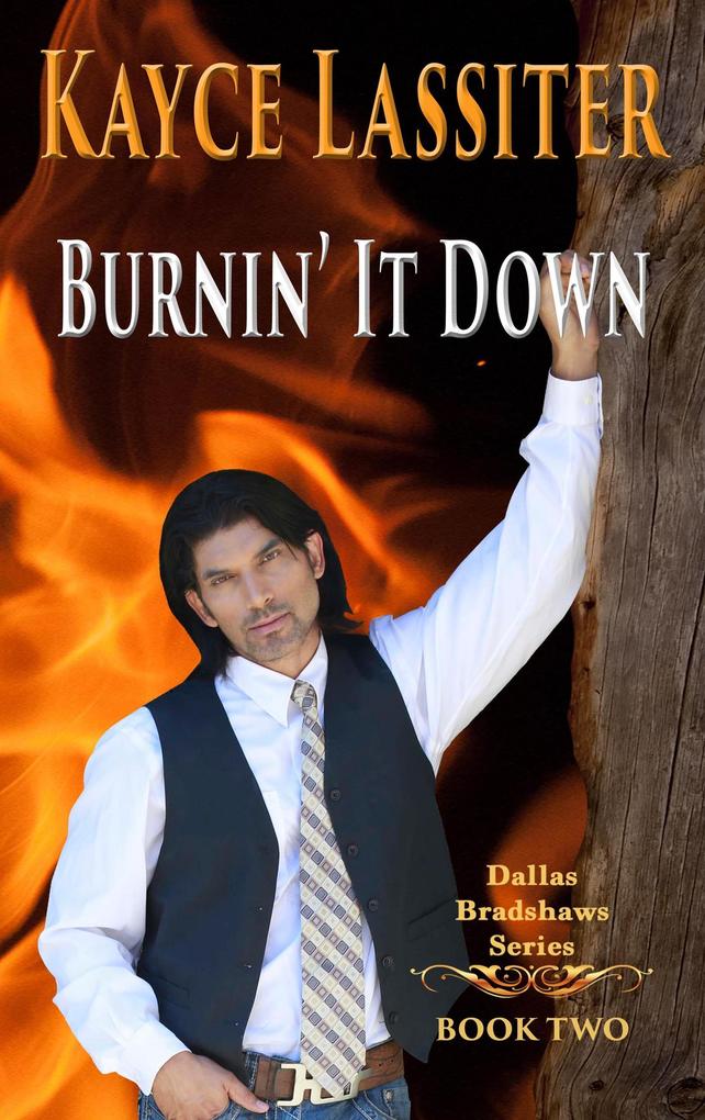 Burnin‘ It Down (Dallas Bradshaws Series #2)