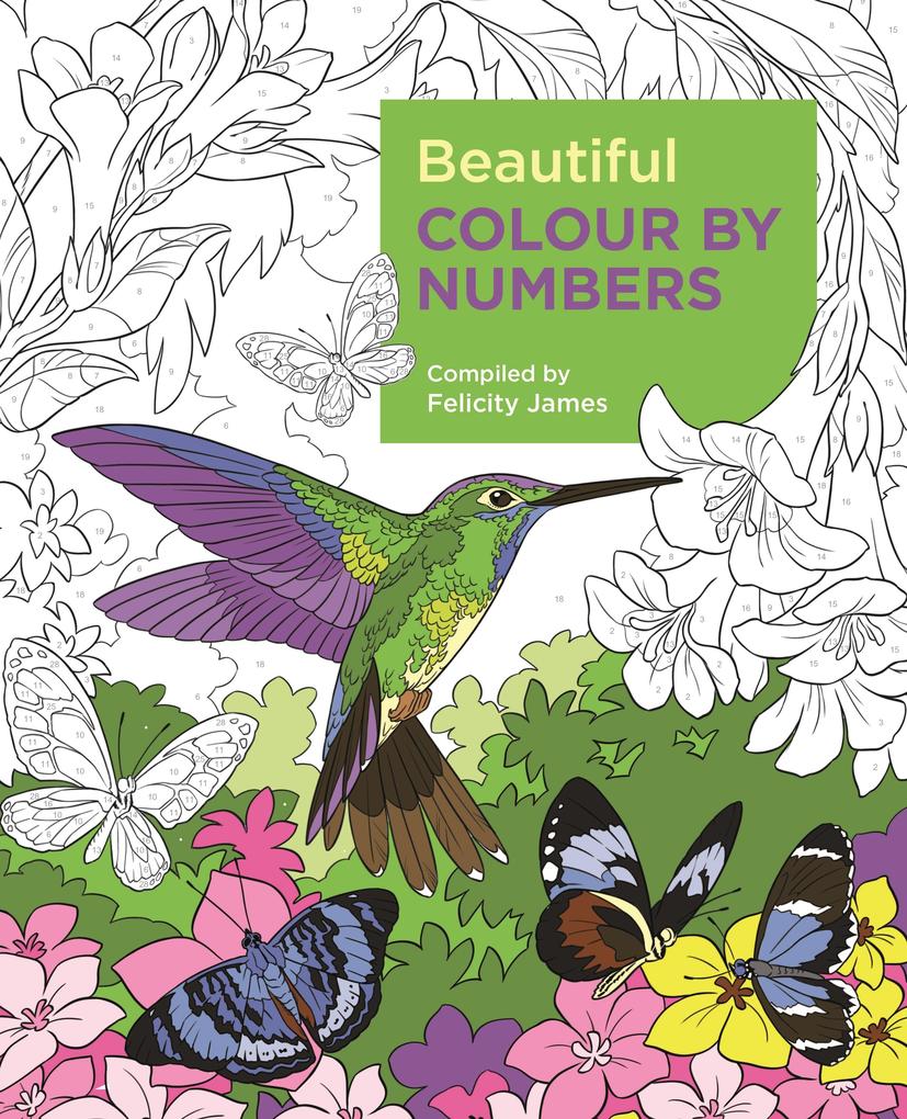 Arcturus Publishing Ltd Beautiful Colour By Numbers