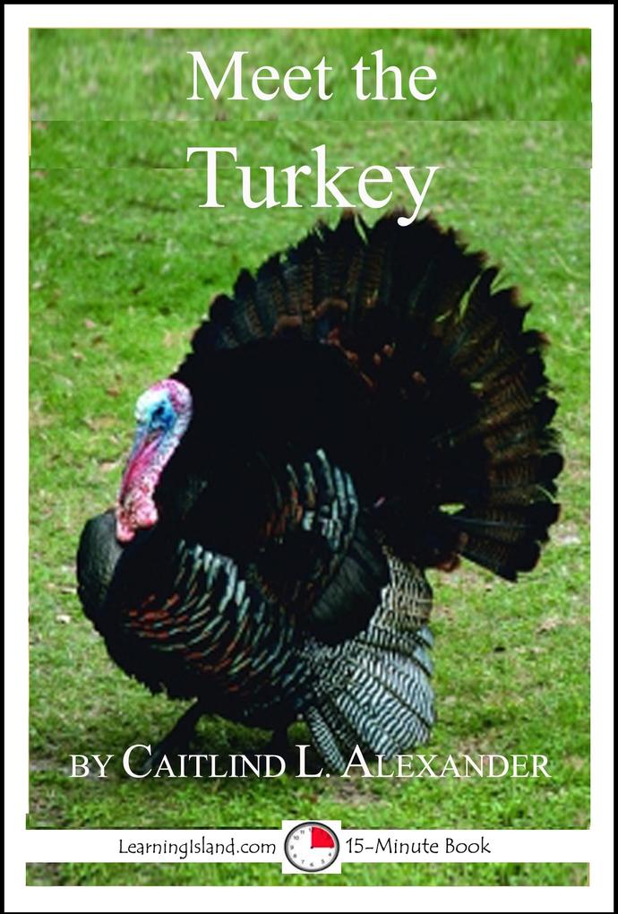 Meet the Turkey