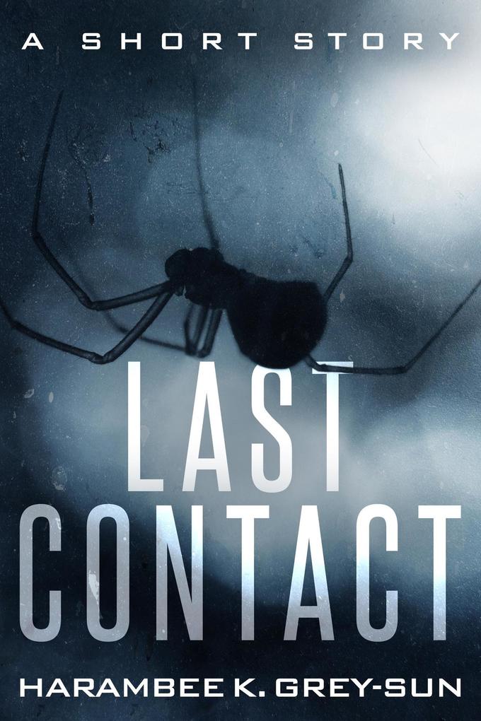 Last Contact: A Short Story