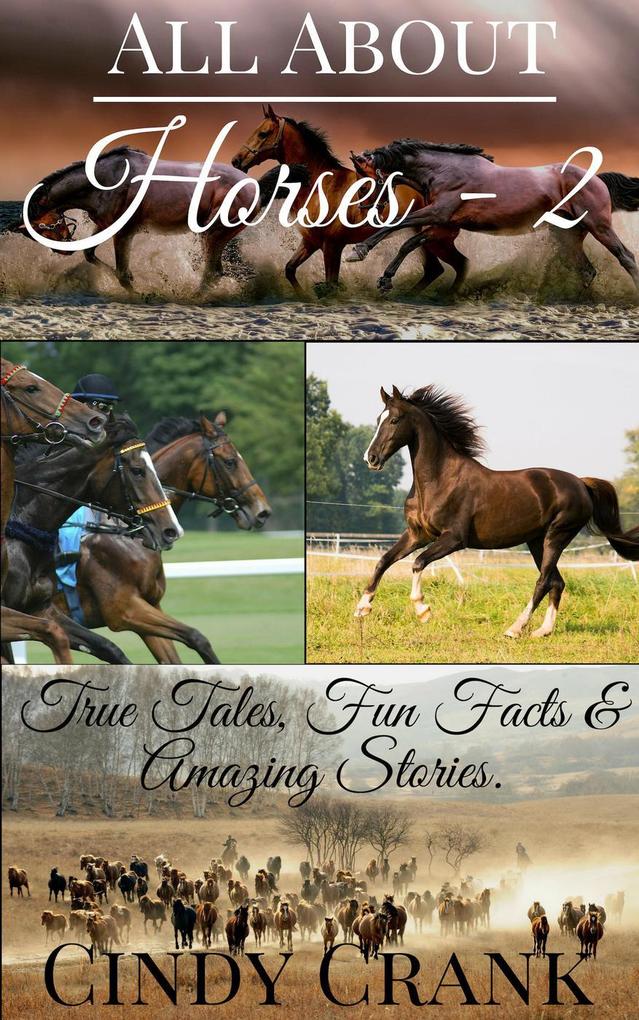 All About Horses -2 (All About Horses. #2)