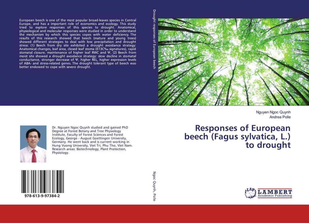 Responses of European beech (Fagus sylvatica L.) to drought