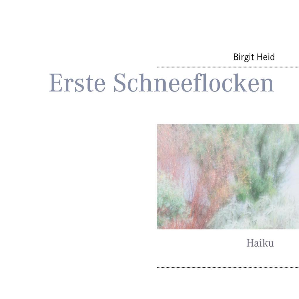 Erste Schneeflocken
