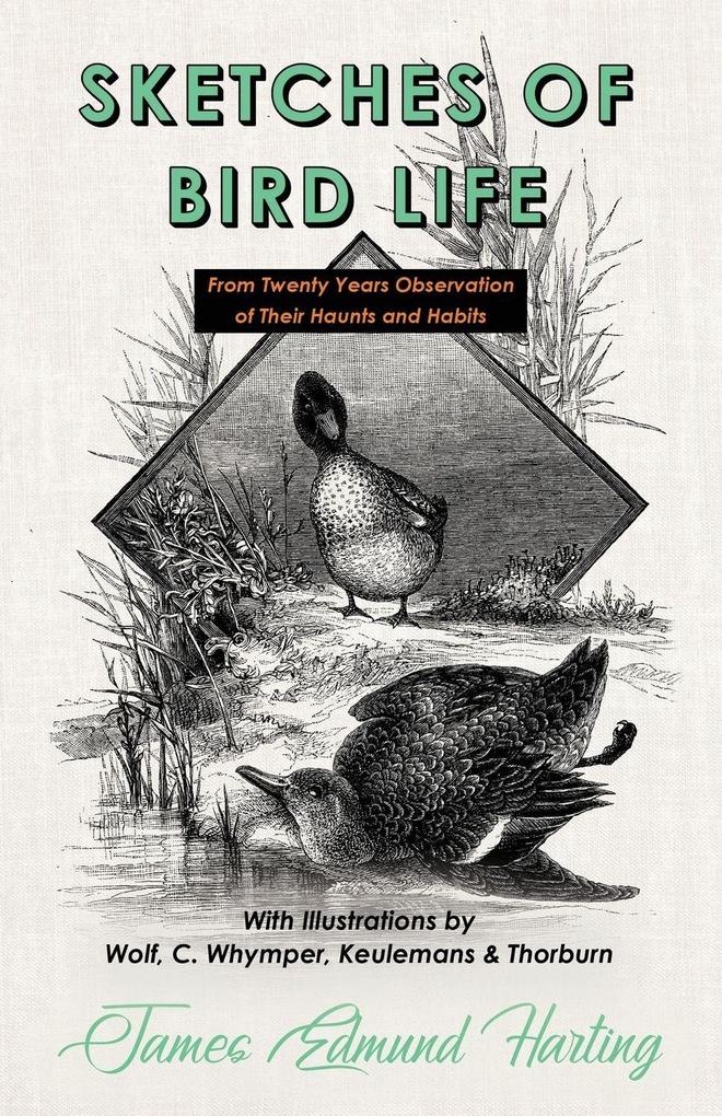 Sketches of Bird Life - From Twenty Years Observation of Their Haunts and Habits - With Illustrations by Wolf C. Whymper Keulemans and Thorburn