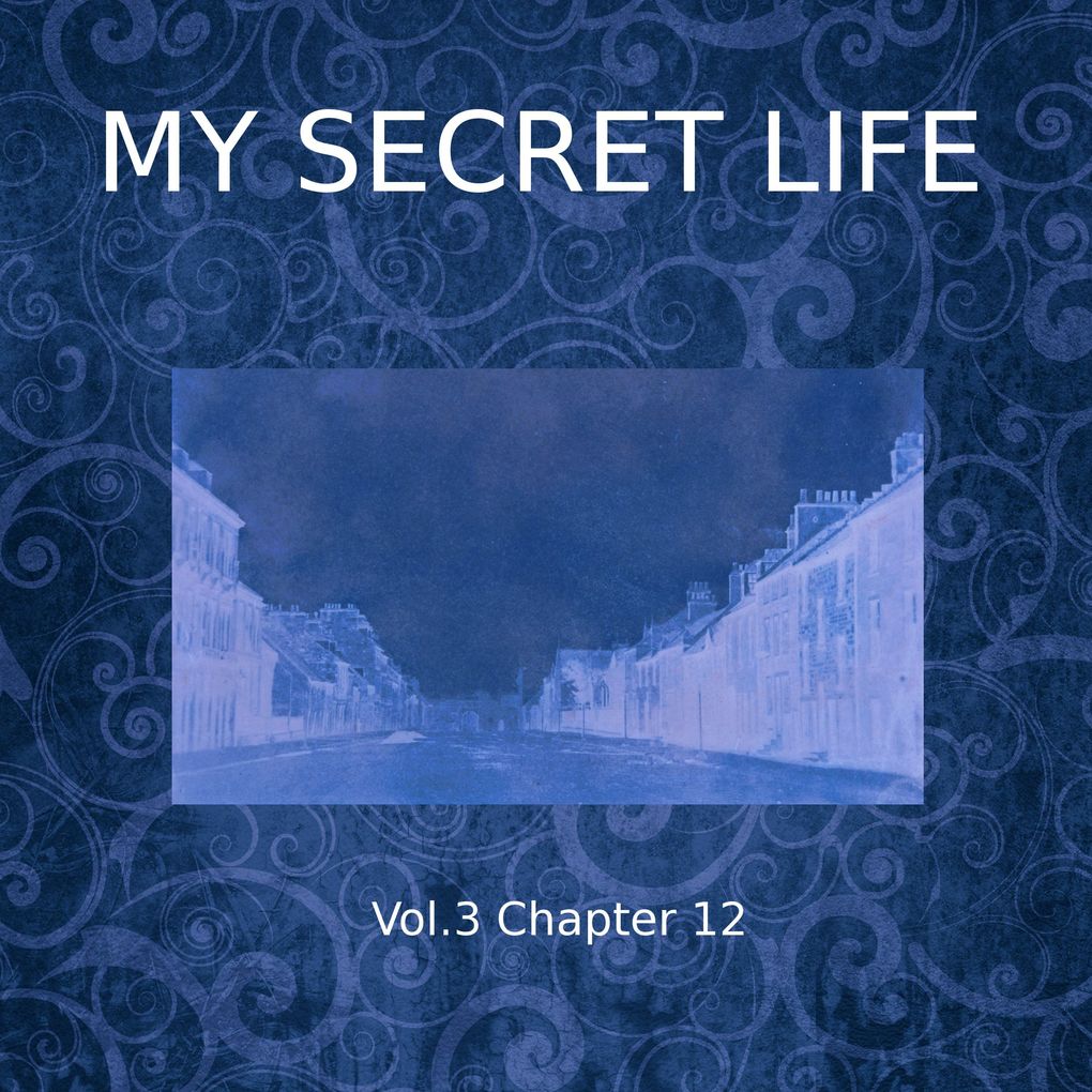 My Secret Life Vol. 3 Chapter 12