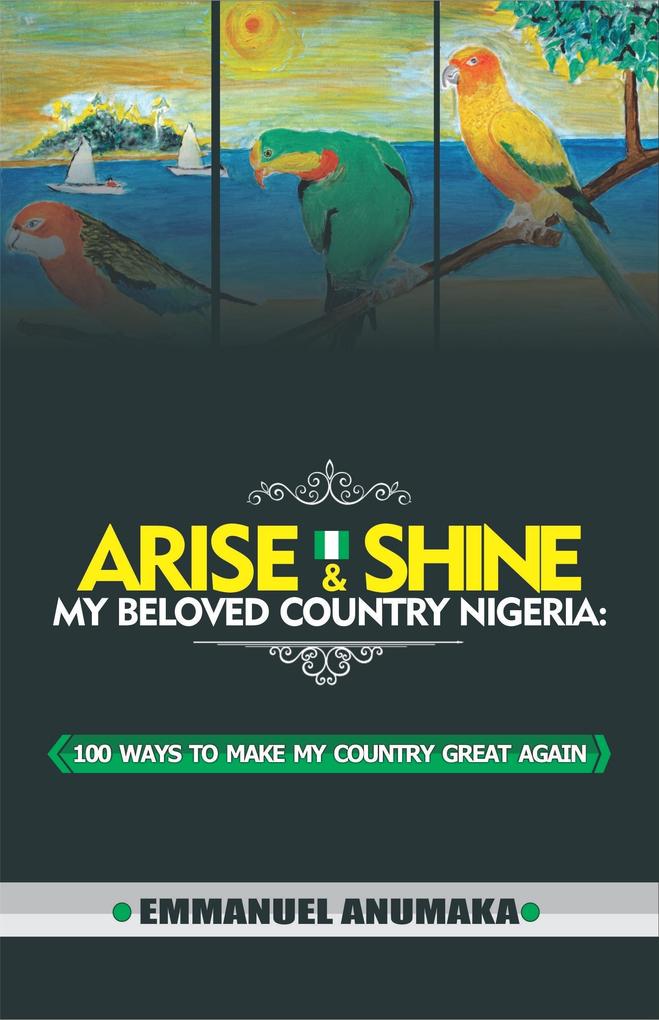 Arise And Shine My Beloved Country Nigeria: 100 Ways To Make My Country Great Again