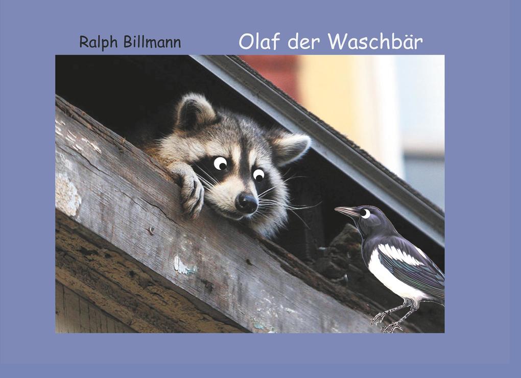 Image of Olaf der Waschbär