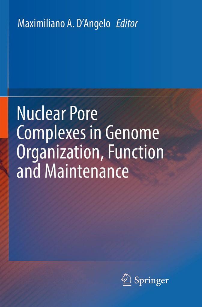 Nuclear Pore Complexes in Genome Organization Function and Maintenance