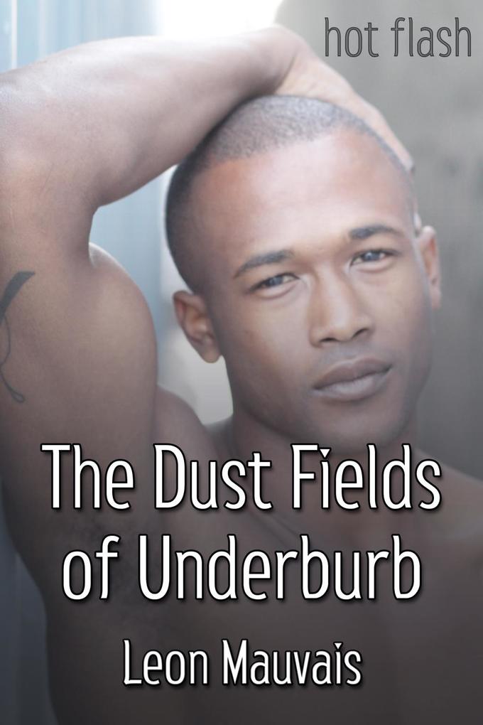 Dust Fields of Underburb