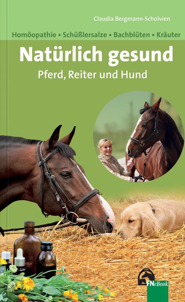 Natürlich gesund. Pferd Reiter und Hund