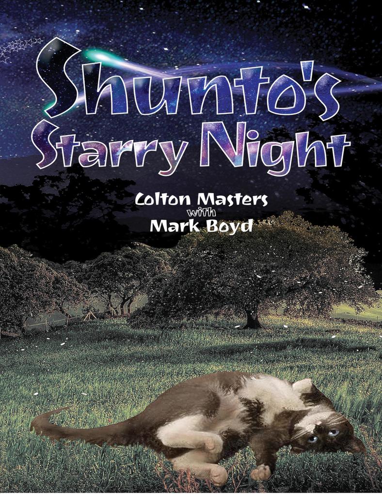 Shunto's Starry Night