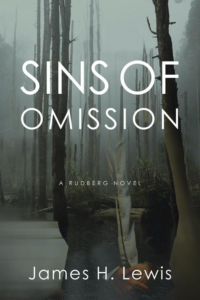 Sins of Omission: Racism politics conspiracy and justice in Florida (Rudberg Novel #1)