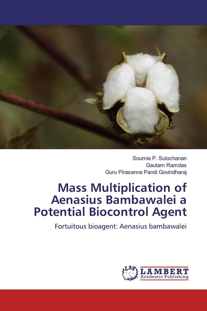 Mass Multiplication of Aenasius Bambawalei a Potential Biocontrol Agent