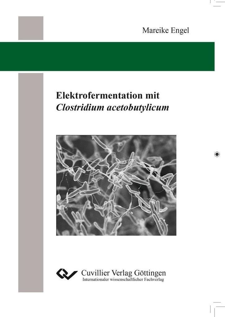 Elektrofermentation mit Clostridium acetobutylicum