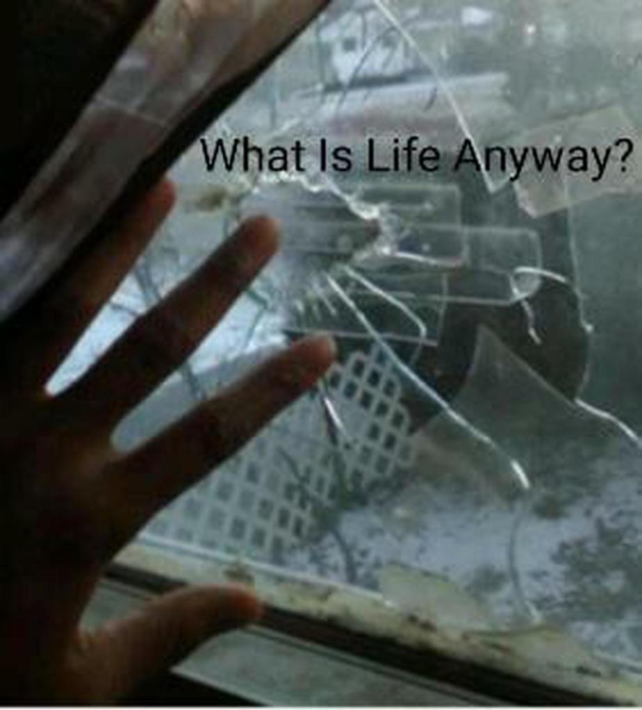 What Is Life Anyway?