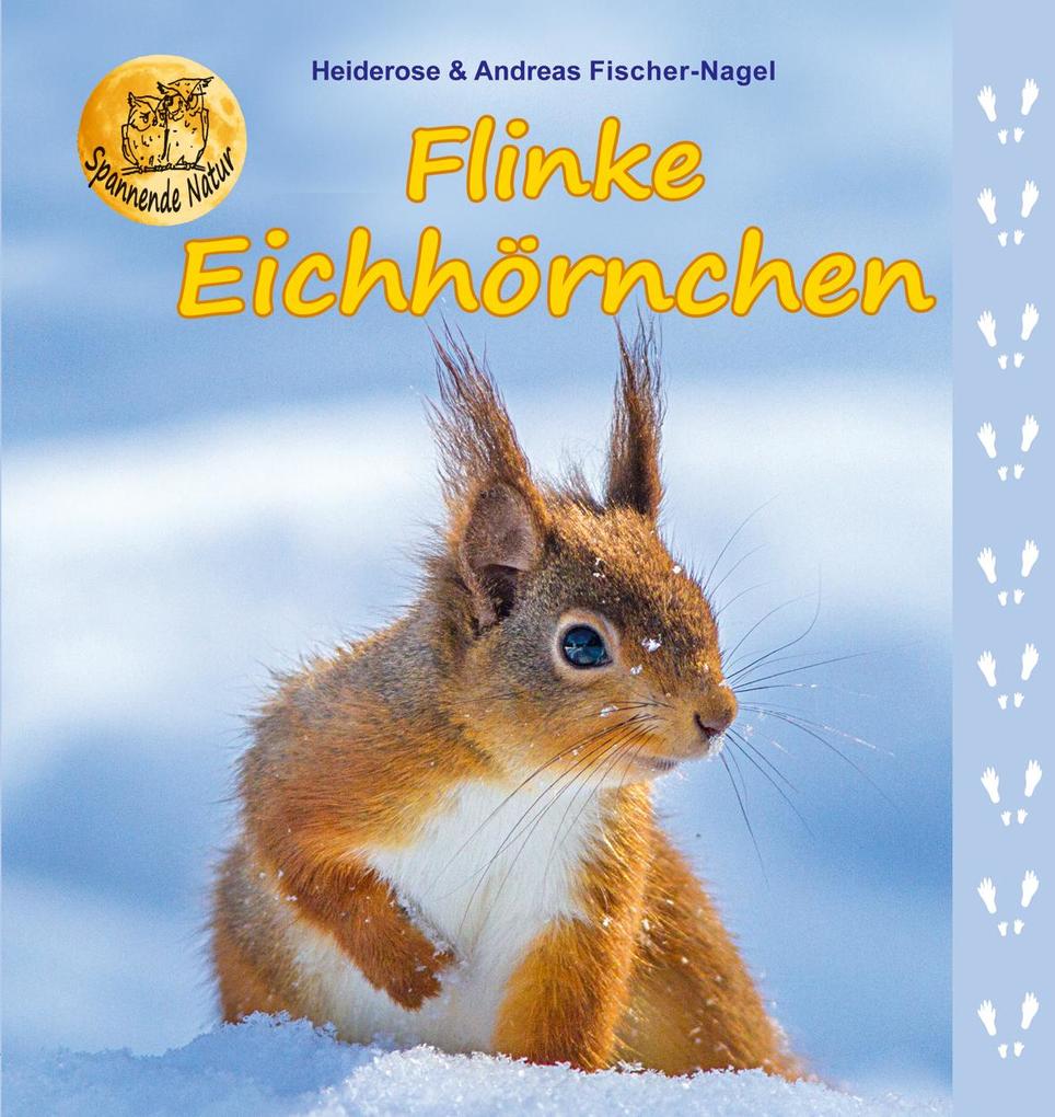 Image of Flinke Eichhörnchen