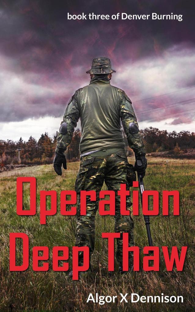 Operation Deep Thaw (Denver Burning #3)