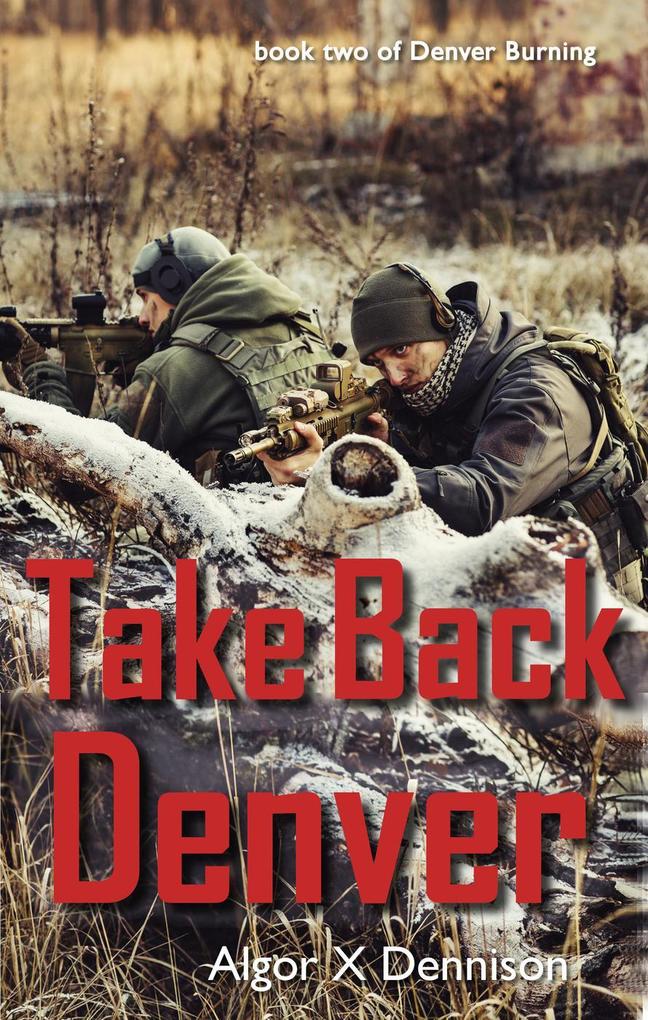 Take Back Denver (Denver Burning #2)