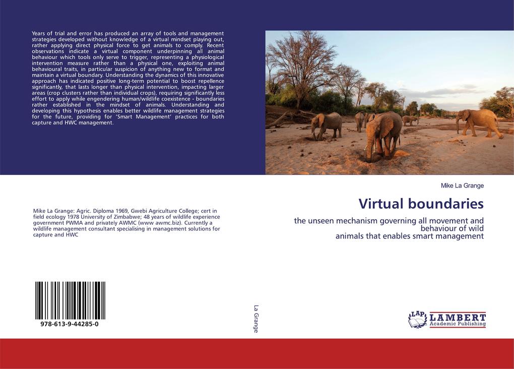 Virtual boundaries
