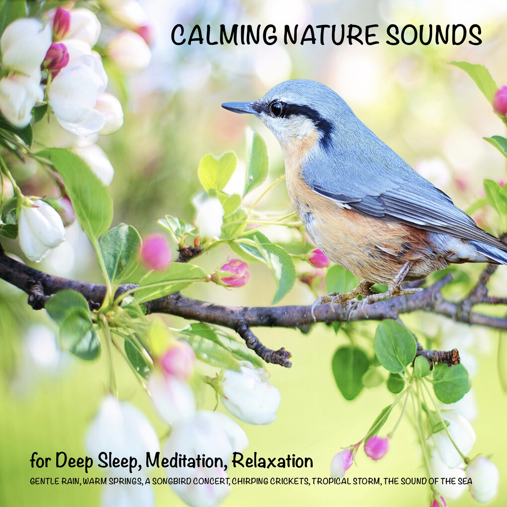 Calming Nature Sounds (without music) for Deep Sleep Meditation Relaxation