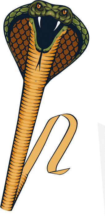Paul Günther 1154 - Cobra Einleinerdrachen ca. 69x400cm