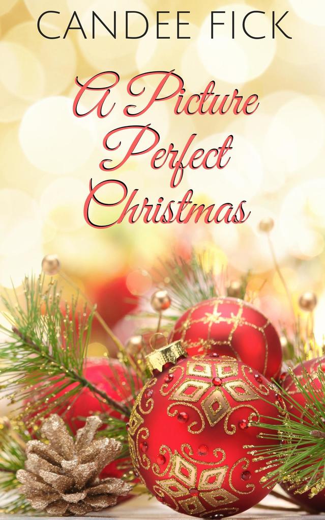 A Picture Perfect Christmas (The Wardrobe #4)