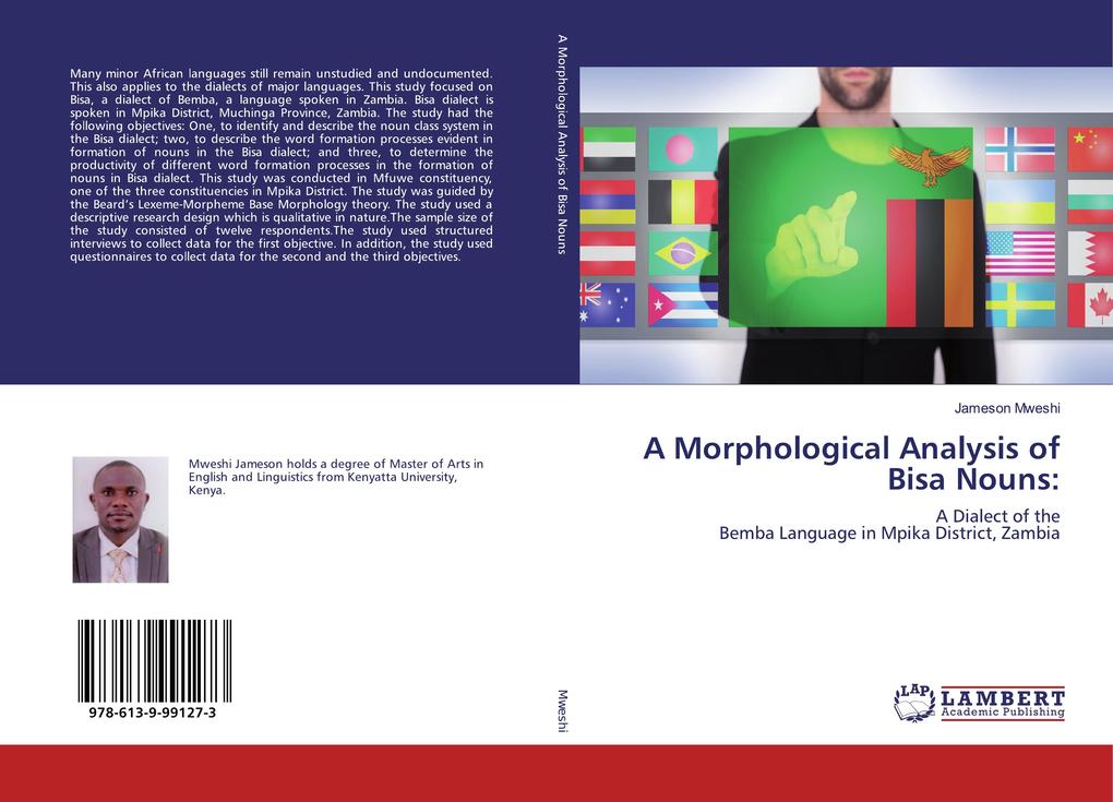 A Morphological Analysis of Bisa Nouns: