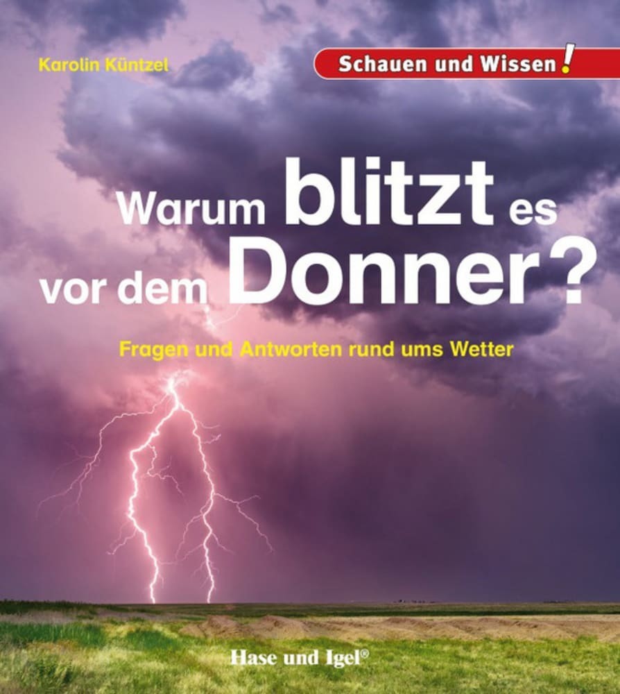 Image of Warum blitzt es vor dem Donner?