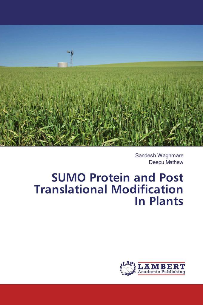 SUMO Protein and Post Translational Modification In Plants