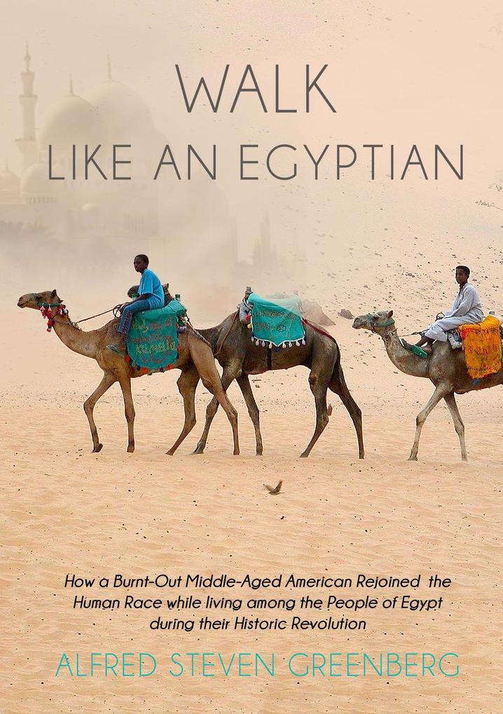 WALK LIKE AN EGYPTIAN: How a Burnt-Out Middle-Aged American Rejoined the Human Race while living among the People of Egypt during their Historic Revolution