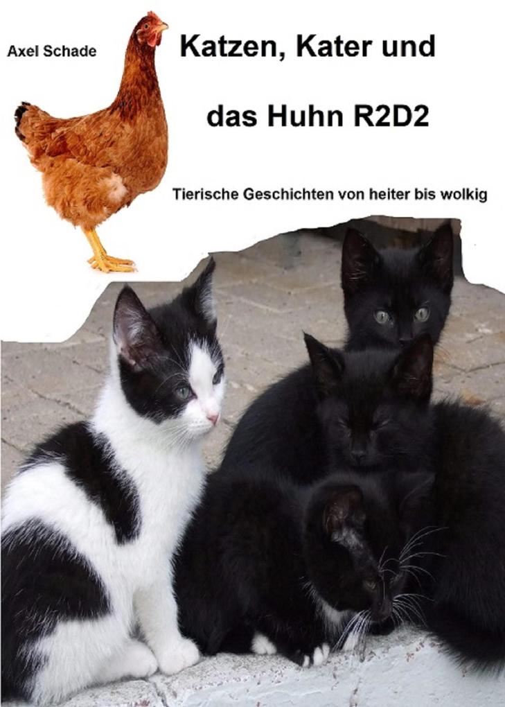 Katzen Kater und das Huhn R2D2