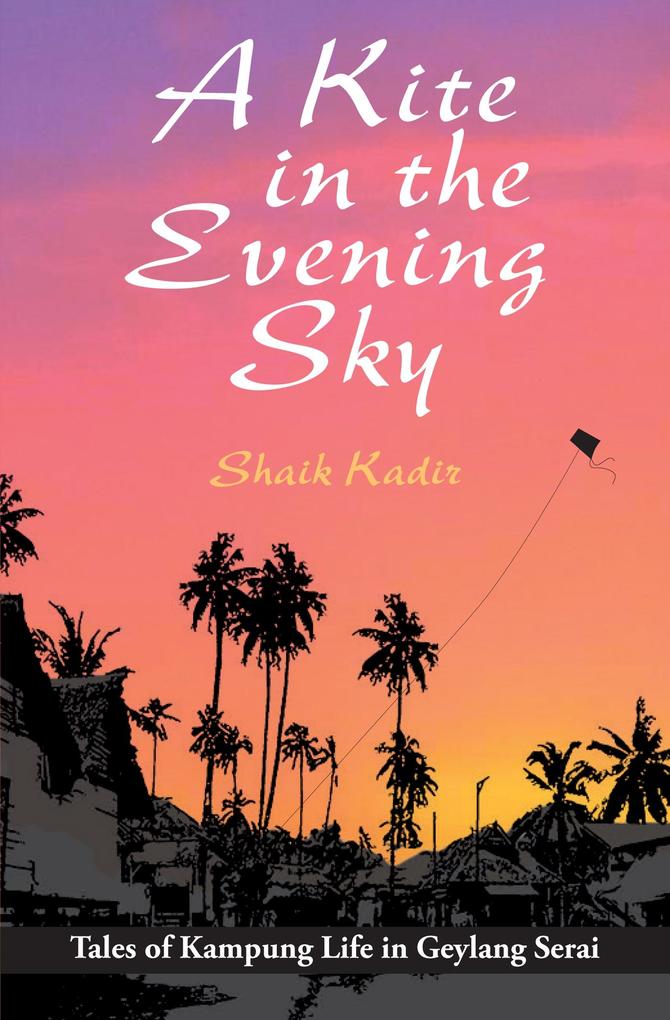 Kite in the Evening Sky