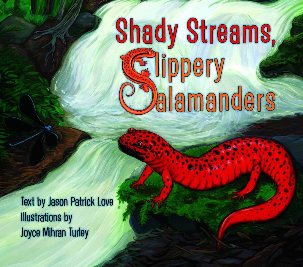 Shady Streams Slippery Salamanders