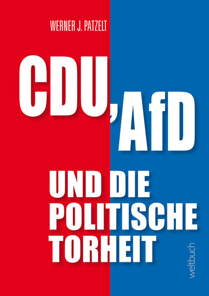 CDU AfD und die politische Torheit.