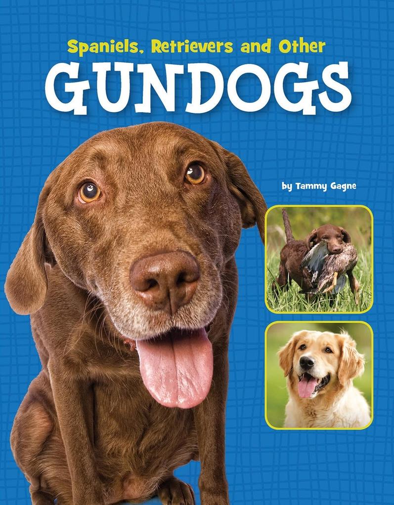 Spaniels Retrievers and Other Gundogs