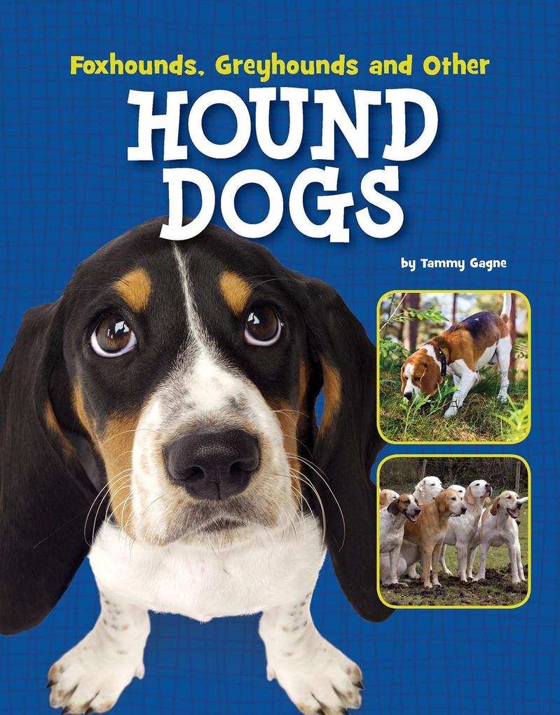 Foxhounds Greyhounds and Other Hound Dogs