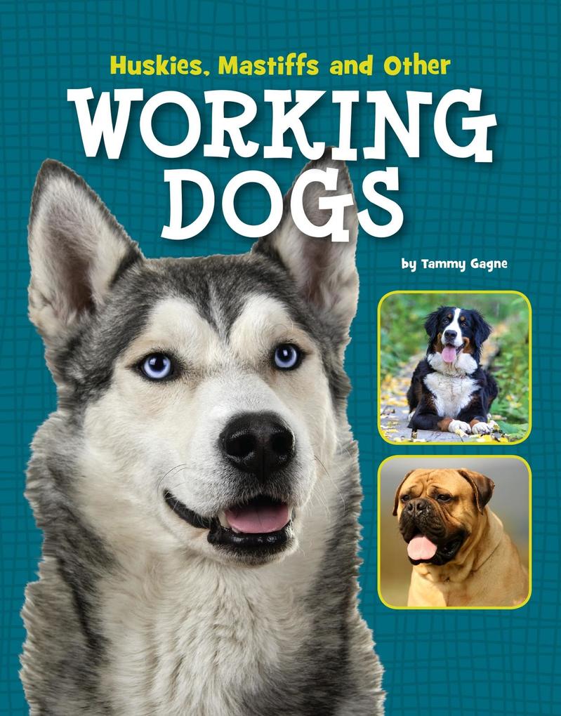 Huskies Mastiffs and Other Working Dogs