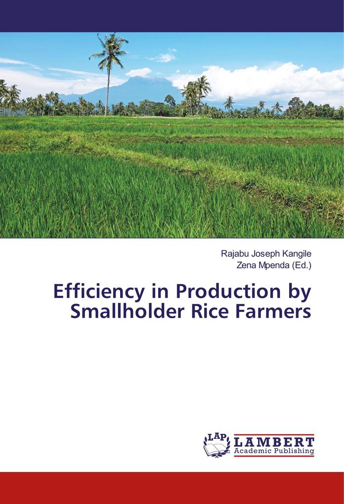 Efficiency in Production by Smallholder Rice Farmers