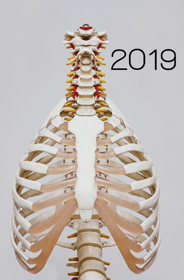 Tagesplaner 2019 Medizin | Terminplaner Taschenkalender Tageskalender Terminkalender Kalender W - Johannes Wild