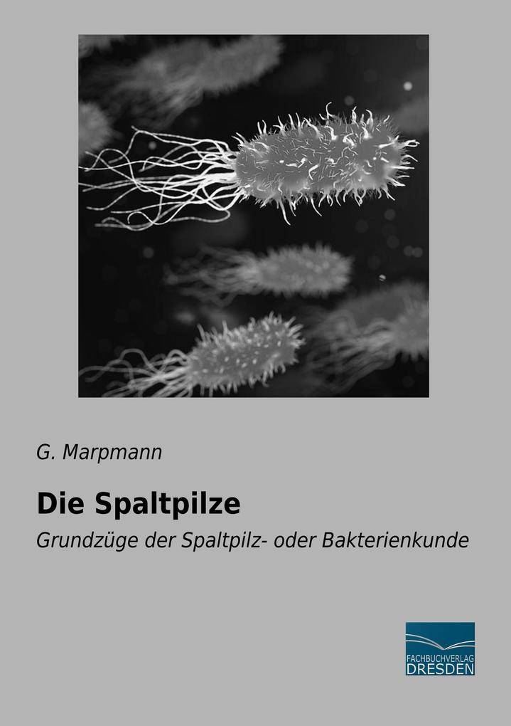Die Spaltpilze