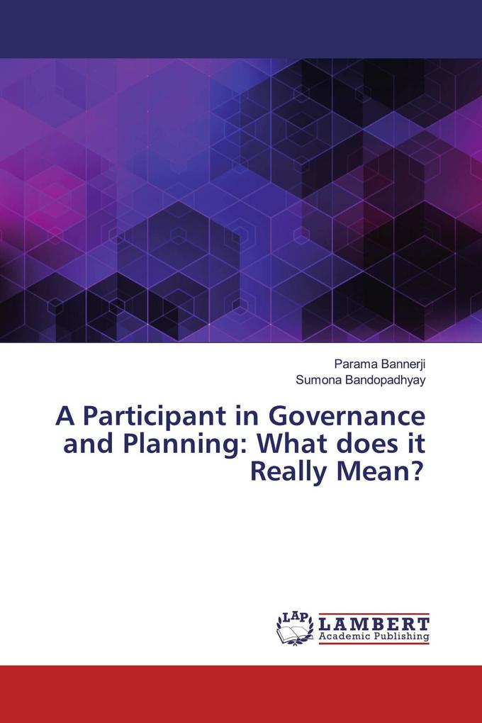 A Participant in Governance and Planning: What does it Really Mean?
