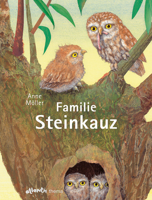 Image of Familie Steinkauz