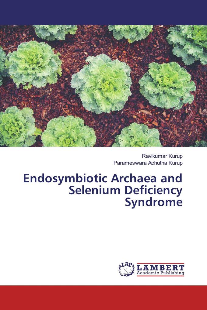 Endosymbiotic Archaea and Selenium Deficiency Syndrome